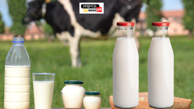 parag milk