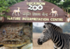 Good news: world's most poisonous fish came to Lucknow zoo, zebra brought from Israel for 90+ lakhs
