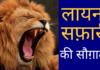 Good news: This district close to Lucknow is going to get the gift of "Lion Safari", know the full news
