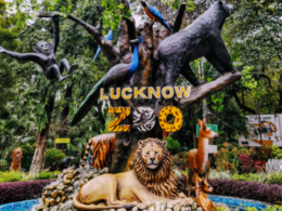 You will not know these things of Lucknow Zoo, know here