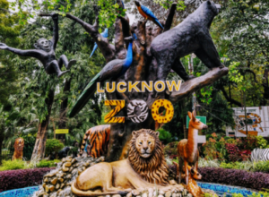 You will not know these things of Lucknow Zoo, know here